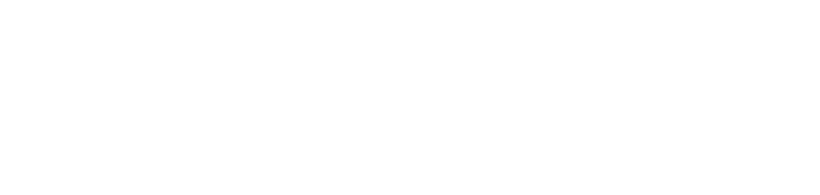FLOW Agency